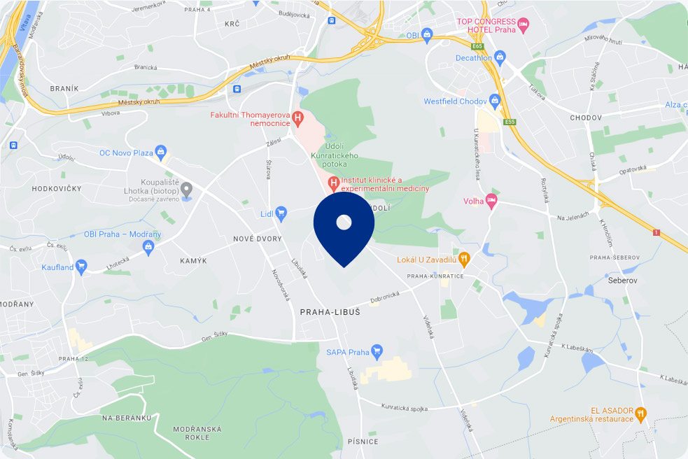 Show Institute of Experimental Medicine on map. External link.
