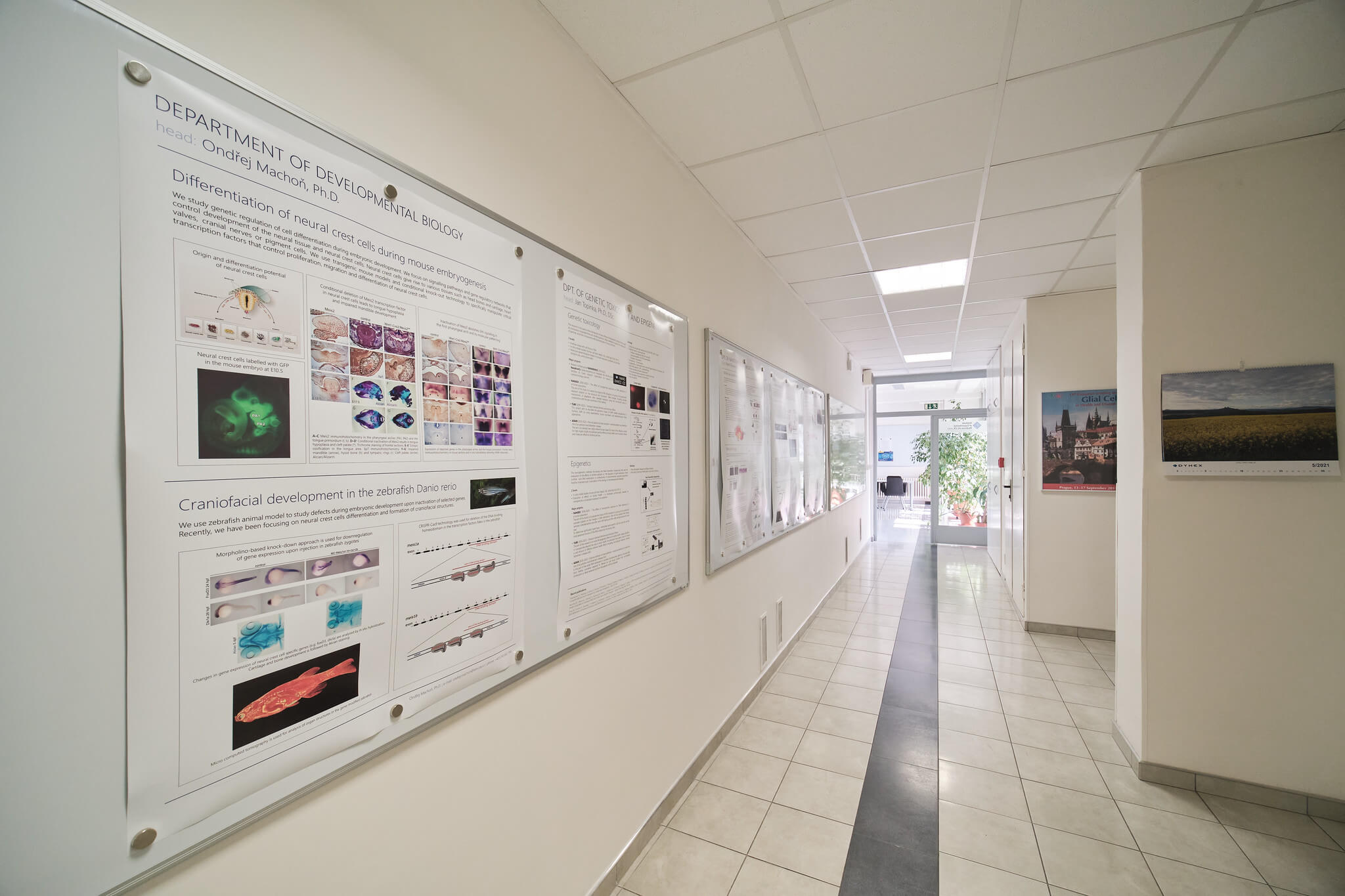 Pohled na chodbu ředitelství ÚEM AV ČR s nástěnkami a plakáty s vědeckou tématikou (zvětšit obrázek).