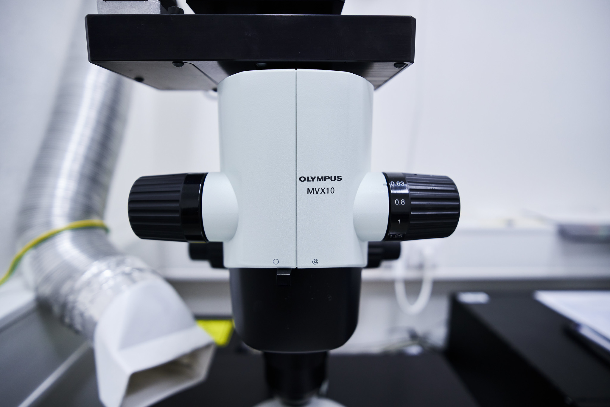 Microscope LaVision-UltraMicroscope-II