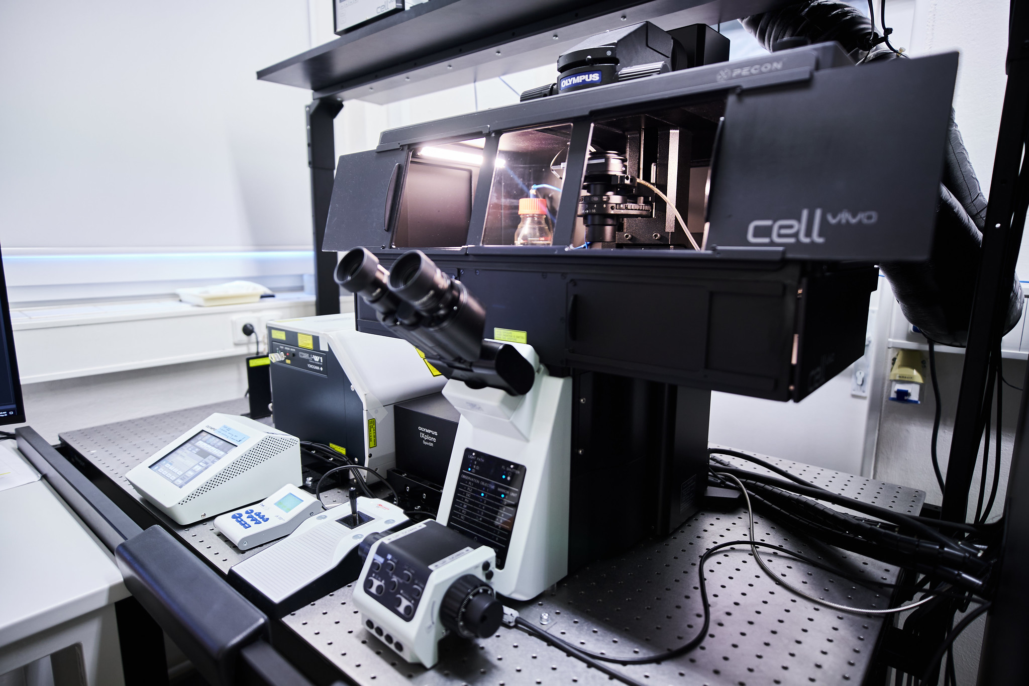 Microscope Olympus-SpinSR10
