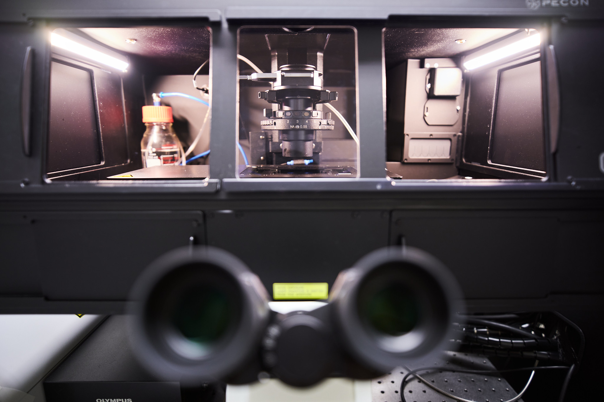 Microscope Olympus-SpinSR10